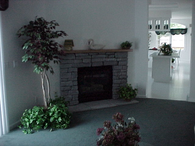 Patriot Two Story Family Room Photo 1 Patriot Two Story Family Room Photo 1