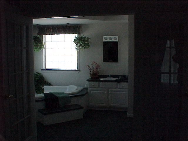 Patriot Two Story Master Bathroom Photo 2