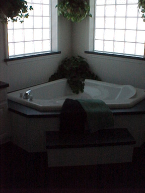 Patriot Two Story Master Bathroom Photo 3